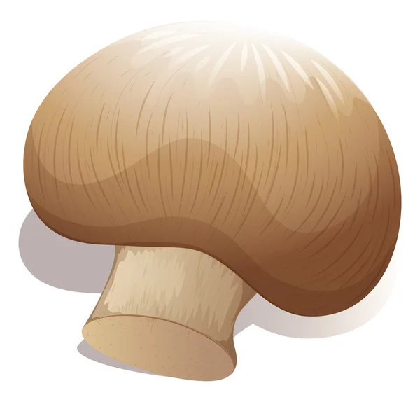 Mushroom alone on white — Vetor de Stock